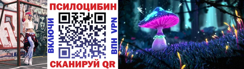 Галлюциногенные грибы Psilocybine cubensis  Кировград 
